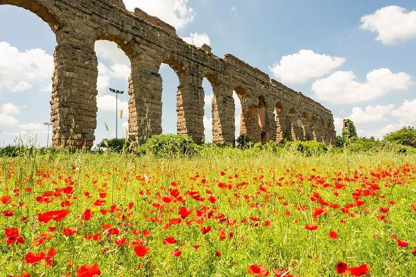 Italy-Rome Parc of the Aqueducts (Parco degli Acquedotti)-Acqua Claudio